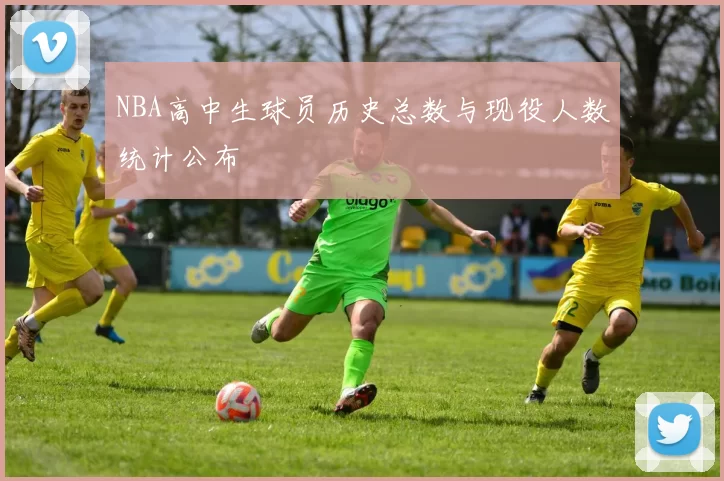 NBA高中生球员历史总数与现役人数统计公布